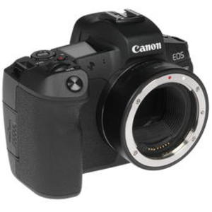 Цифровой фотоаппарат Canon EOS R Body + EF-EOS R адаптер