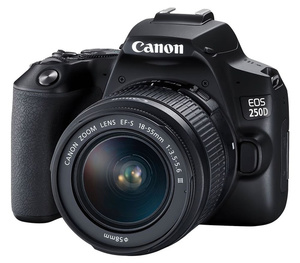 Цифровой фотоаппарат Canon EOS 250D Kit 18-55mm III Black(